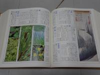 カラー図説 日本大歳時記　座右版
