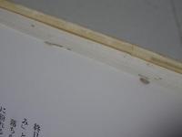 攻撃の切尖