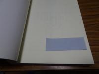 ミニマル・アート　アール・ヴィヴァン選書