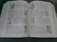 改訂増補 牧野新日本植物図鑑