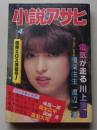 小説アサヒ　1983年4月号