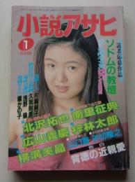小説アサヒ　1995年1月号