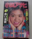 小説アサヒ　1994年7月号