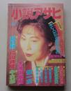 小説アサヒ　1992年4月号