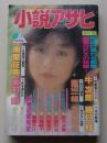 小説アサヒ　1990年4月号