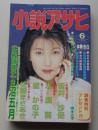 小説アサヒ　1998年6月号