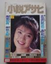 小説アサヒ　1993年2月号