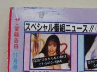 ザ・官能告白　1994年11月号