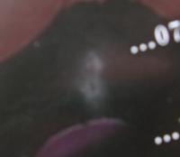 欲情ボーダーライン　