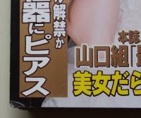週刊実話　平成25年5月16日号　安田美沙子/大島優子/紗倉まな