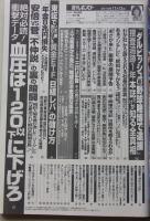 週刊ポスト　2015年11月13日号　松本ちえこ/岩本和子/本田翼