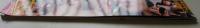 【DVD付録付き】美女イカセ痴極　2019年　戸田真琴/有原あゆみ/宝田もなみ