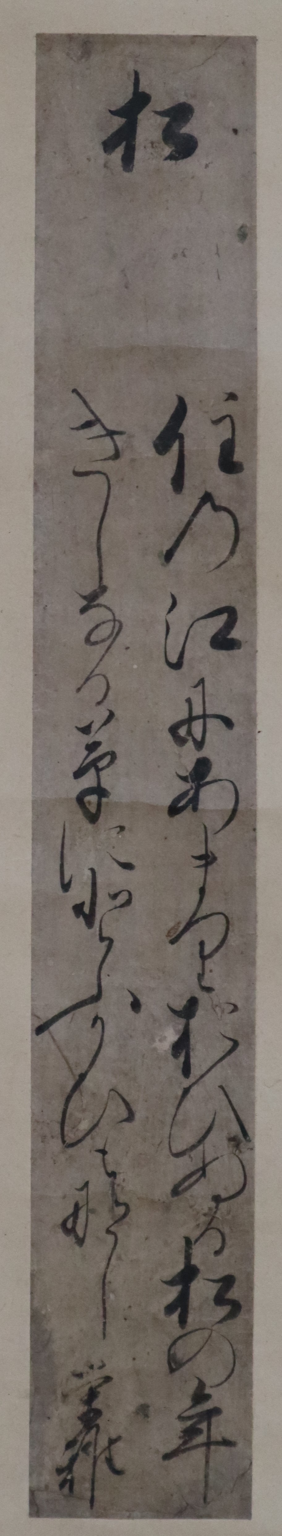 古短冊 飛鳥井雅親（栄雅）-
