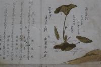 狂歌刷物