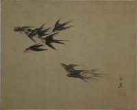 日比野白圭　横物