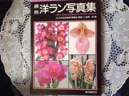 原色 洋ラン写真集