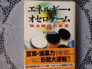 エネルギー•オセロゲーム  独身時代の終焉
