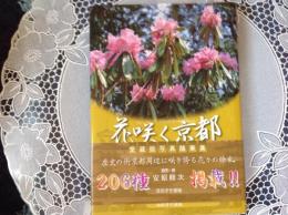 花咲く京都