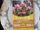 花咲く京都