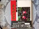 北九州の花