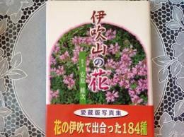 伊吹山の花