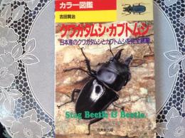クワガタムシ•カブトムシ   日本産クワガタムシとカブトムシを完全網羅