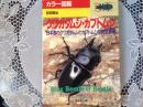 クワガタムシ•カブトムシ   日本産クワガタムシとカブトムシを完全網羅