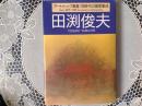 アート•トップ叢書:同時代の画家集成  田渕俊夫