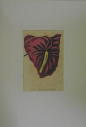 版画五人集(16)　アンスリューム　