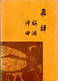 飛騨桜洞・沖田　飛騨桜洞・沖田遺跡発掘調査報告書