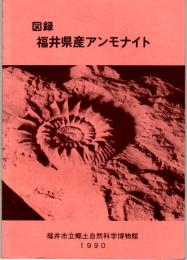 図録 福井県産アンモナイト