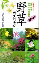 野草ガイドブック　目で楽しむ平地、森・林、高山、水・海辺の野草204種