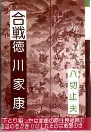 合戦徳川家康　雲霧仁左衛門は新田義貞