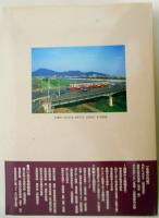 保存版 岐阜のチンチン電車　　岐阜市内線と美濃町・揖斐・谷汲線の85年　　