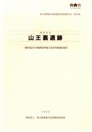東松山市 山王裏遺跡 一般国道254号線関係埋蔵文化財発掘調査報告 埼玉県埋蔵文化財調査事業団報告書第167集