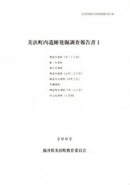 美浜町内遺跡発掘調査報告書１ 興道寺遺跡/藤ノ木遺跡/竜沢寺遺跡/興道寺古墳群/早瀬遺跡/寺山古墳群　ほか　美浜町埋蔵文化財調査報告書第5集