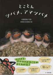 とことんツバメ、アマツバメ