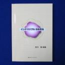 インテリジブル 比較憲法