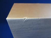 Michelangelo : Complete Works ミケランジェロ 〔図録〕