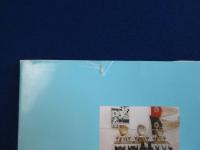 プロ魂 高木守道 : 名二塁手モリミチ物語