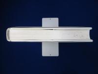 Charlie Chaplin : Das große Charlie Chaplin Buch チャールズ・チャップリン