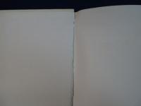 tadao ando : 1983 1993 安藤忠雄