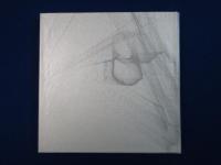 まぼろし戸 : 詩集