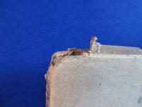 京都皇居の御庭園