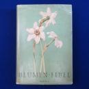 Blumen Fibel エルサ・M・フェルスコ 植物図譜