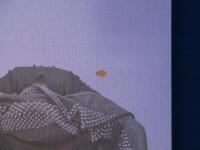 Erwin Wurm : Wear Me Out エルヴィン・ヴルム 〔展覧会図録〕