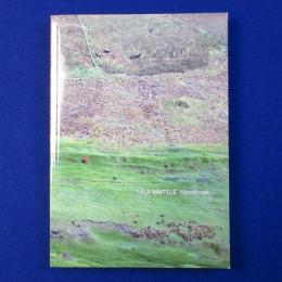TAIJI MATSUE Handbook 松江泰治ハンドブック