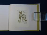 とるにたらないおとこの話 特別愛蔵版