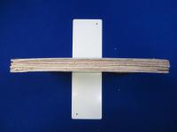 精神界 第4巻 明治37年　8冊セット