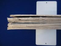 精神界 第3巻 明治36年　9冊セット